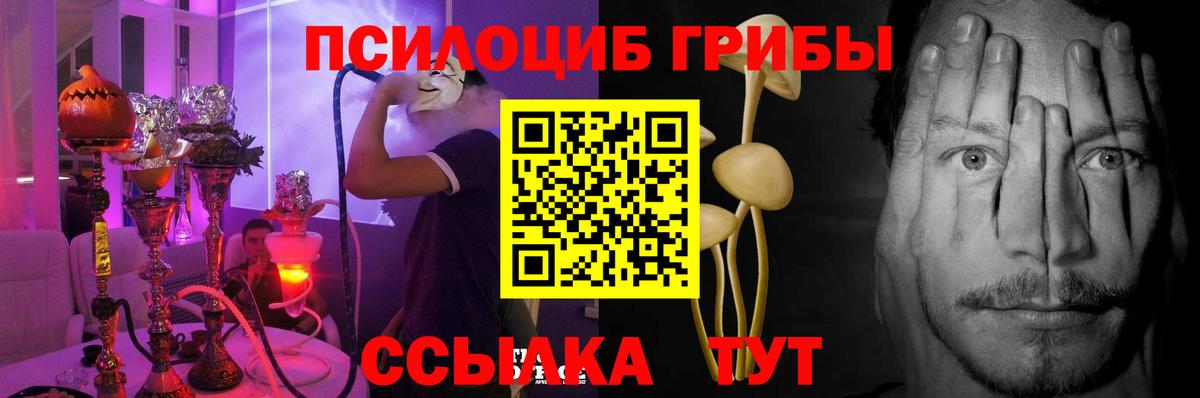 Галлюциногенные грибы Cubensis Строитель